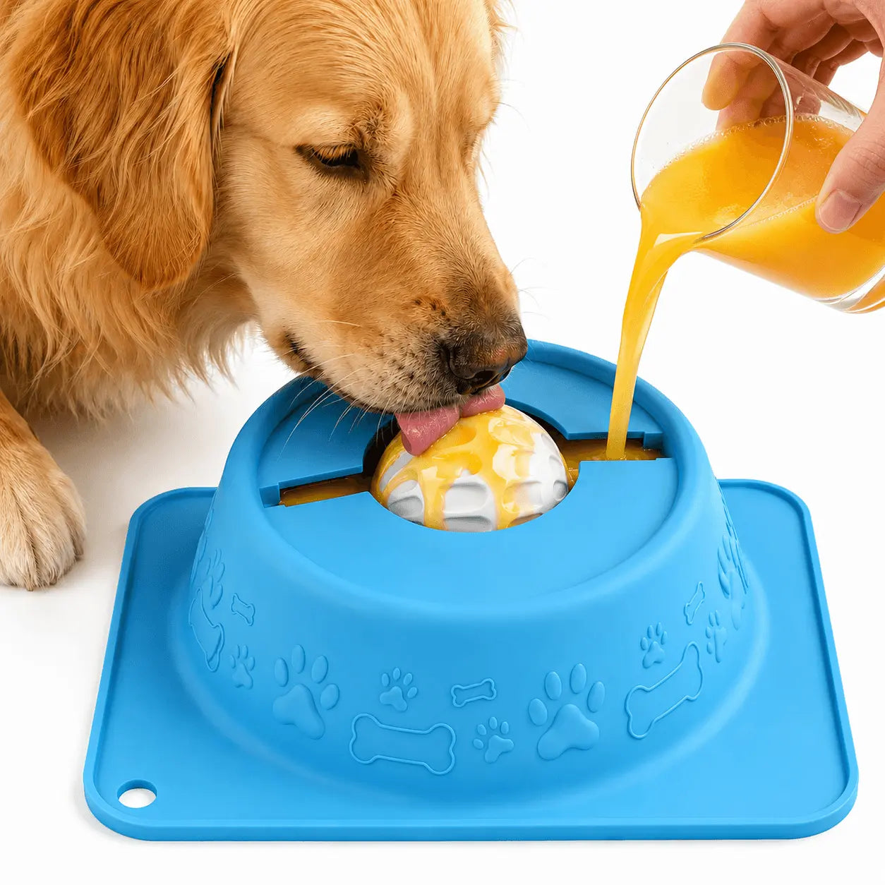 Dog & Cat Lick Bowl for Wet Treats